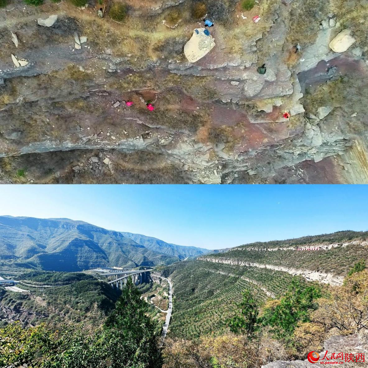 上图为曾经一片荒芜的黄河悬崖边。资料图 下图为如今黄河悬崖边草木葱茏。人民网记者 白鸽摄