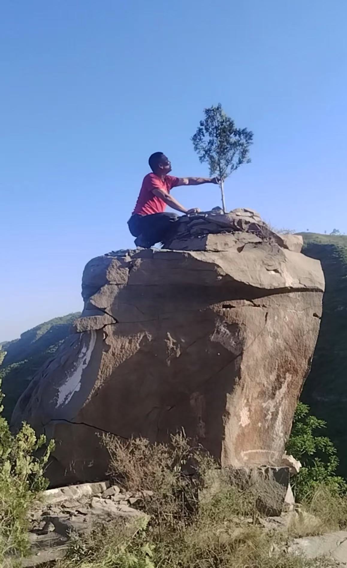 郝雷与“纪念树”(资料图)。受访者供图
