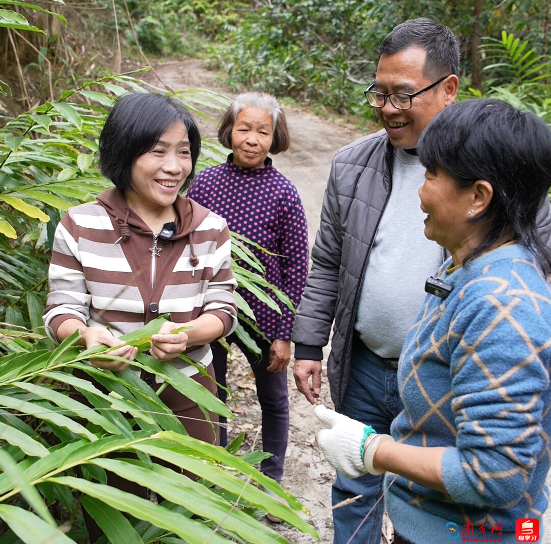 冯惠容在砂仁种植基地走访调研,听取农户诉求建议