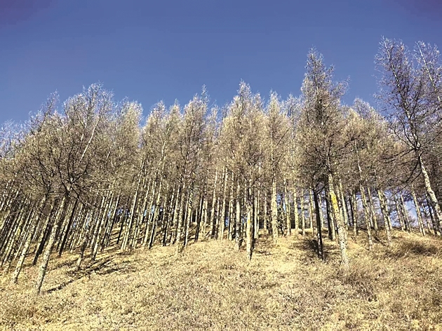 【新春走基层·走进西海固】那块原本贫瘠的土地,“肥沃”起来了 【新春走基层·走进西海固】那块原本贫瘠的土地,“肥沃”起来了