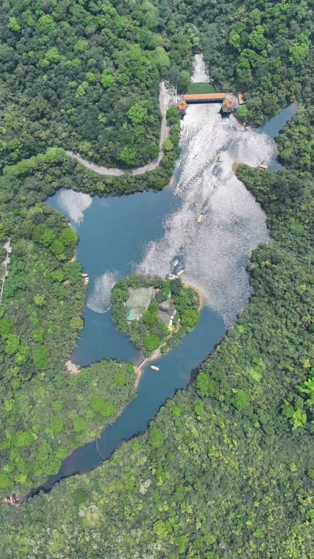 鼎湖山国家级自然保护区。梁亮 摄  