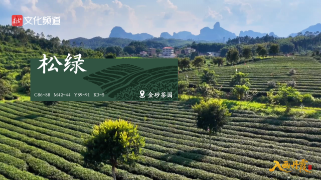 配图