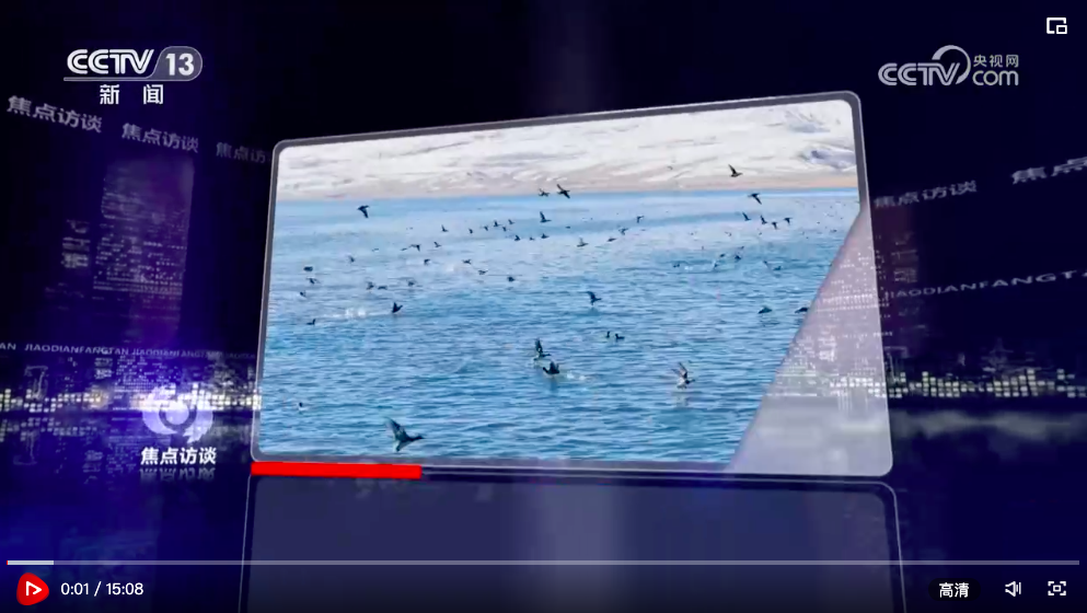 焦点访谈：守护候鸟迁飞路