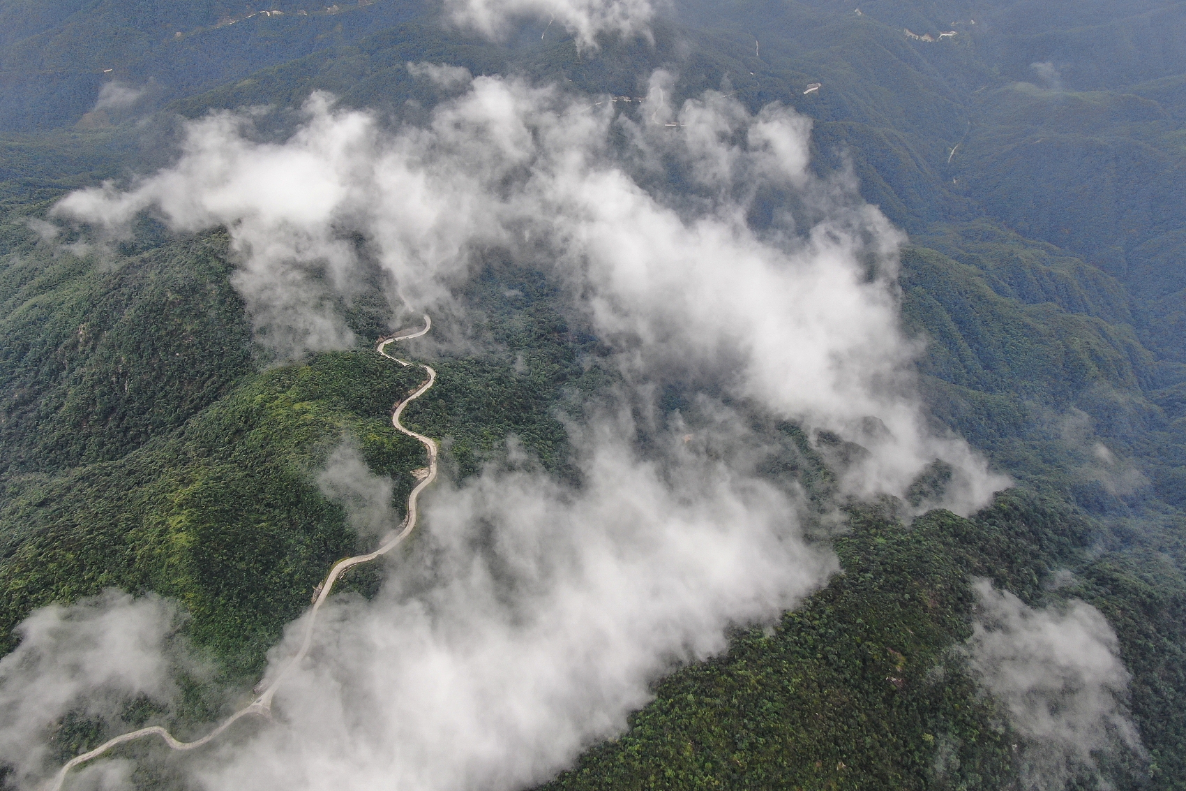 南方网评：建好一座园 绿美粤山水