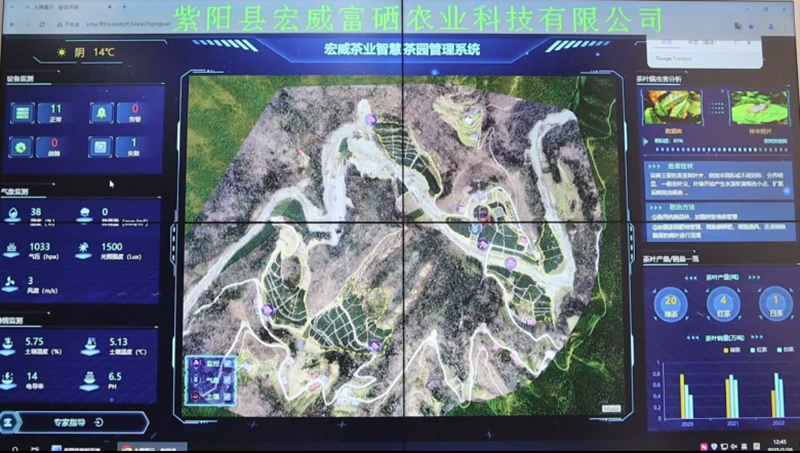 智慧茶园管理系统。紫阳县融媒体中心供图